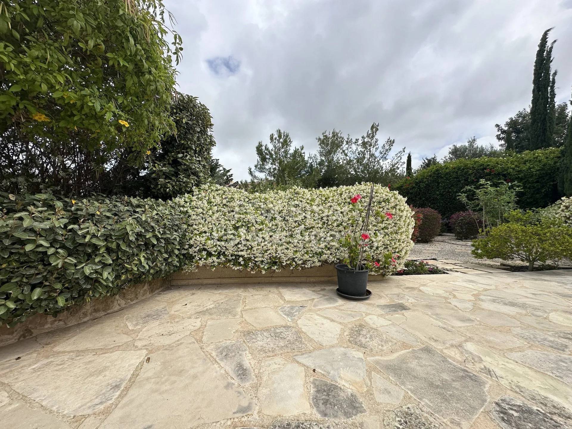 Bien immobilier LIM-PAF-33850 Chloraka, Paphos 16