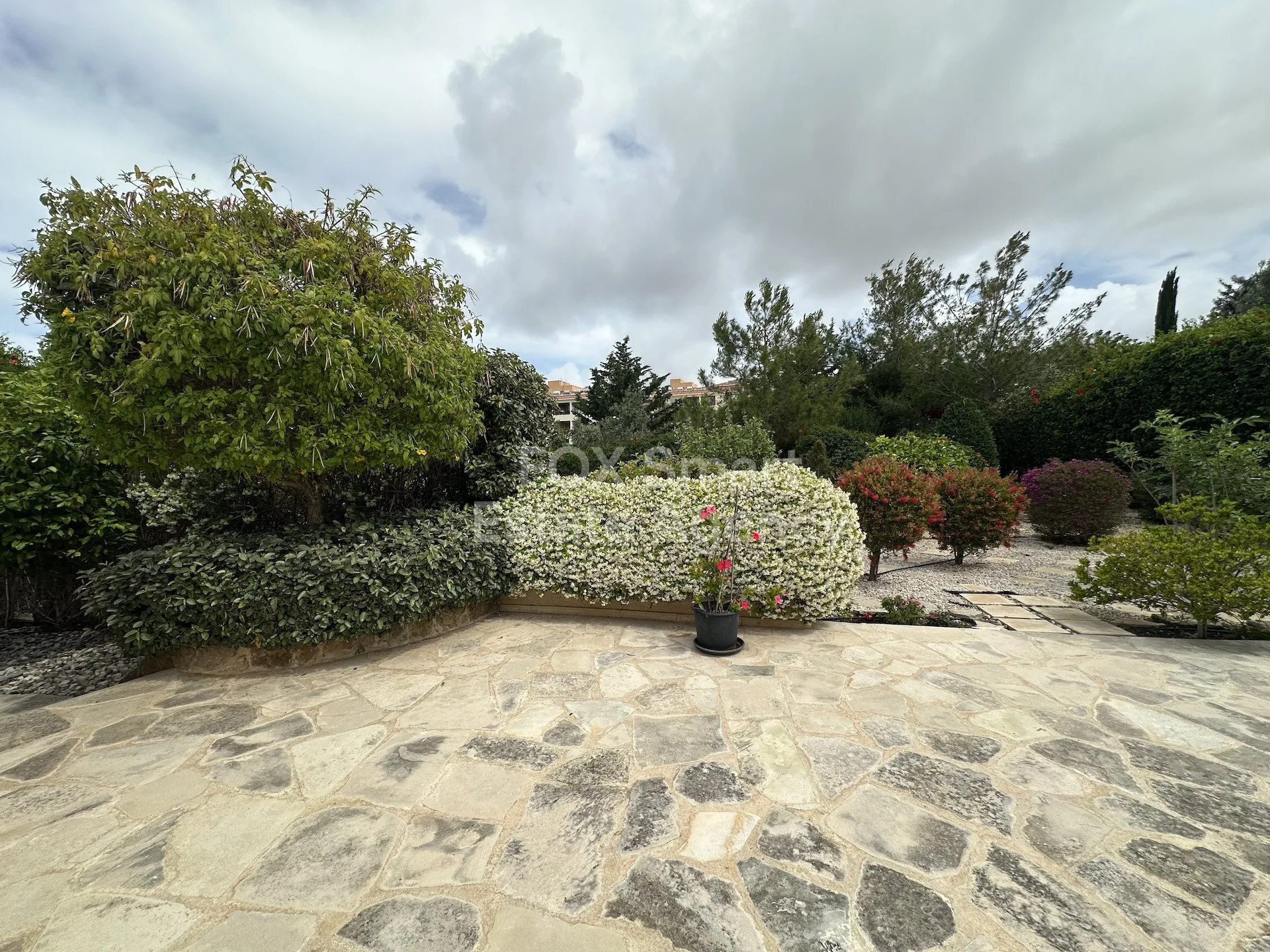 Bien immobilier LIM-PAF-33850 Chloraka, Paphos 19