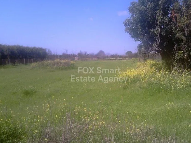 Bien immobilier 26814 Ypsonas, Limassol / LIM-PAF-3672
