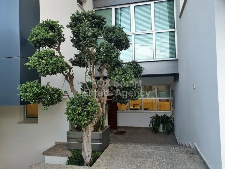 Propiedad 29076 Episkopi, Limassol / LIM-PAF-3815 46