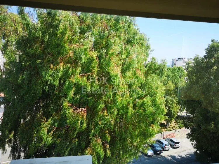 Immobile 24131 Germasogea, Limassol / LIM-PAF-3943 20