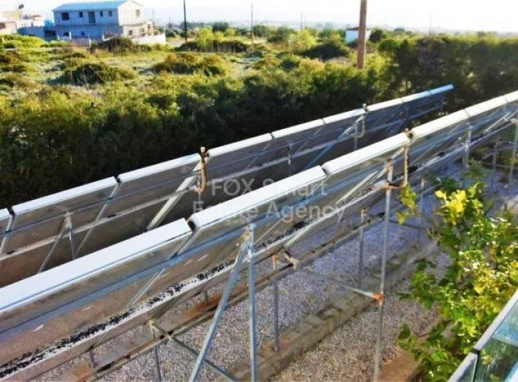 Immobile 25570 Tala, Pafos / LIM-PAF-5516 13