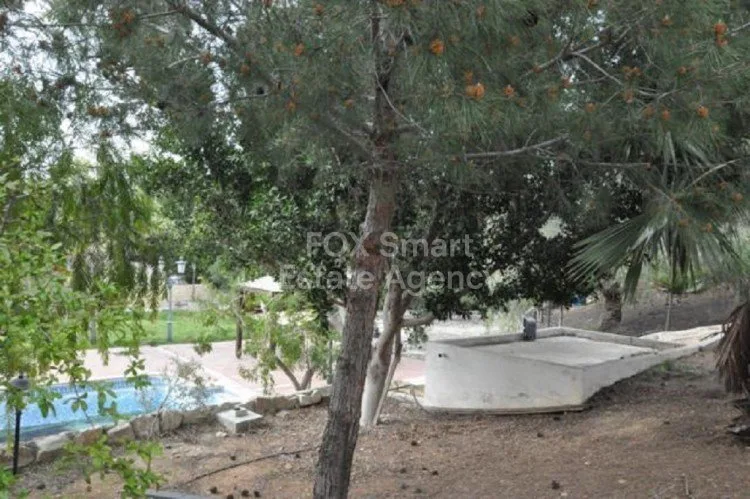 Propiedad 26584 Pissouri, Limassol / LIM-PAF-5568 27