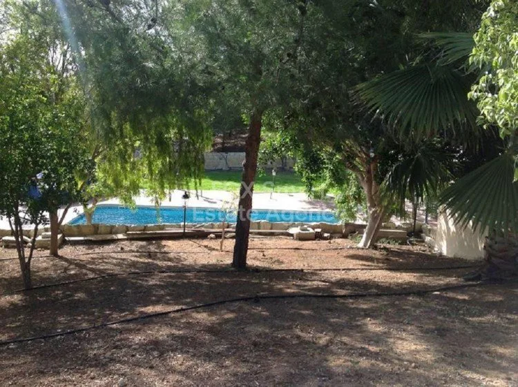 Propiedad 26584 Pissouri, Limassol / LIM-PAF-5568 28