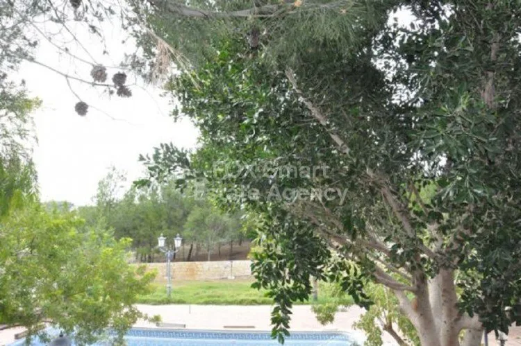 Propiedad 26584 Pissouri, Limassol / LIM-PAF-5568 32