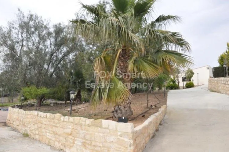 Propiedad 26584 Pissouri, Limassol / LIM-PAF-5568 33