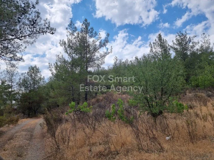 Property 30851 Platres, Limassol / LIM-PAF-7208