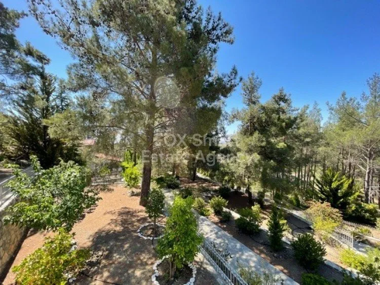 Property 26479 Moniatis, Limassol / LIM-PAF-9063 38