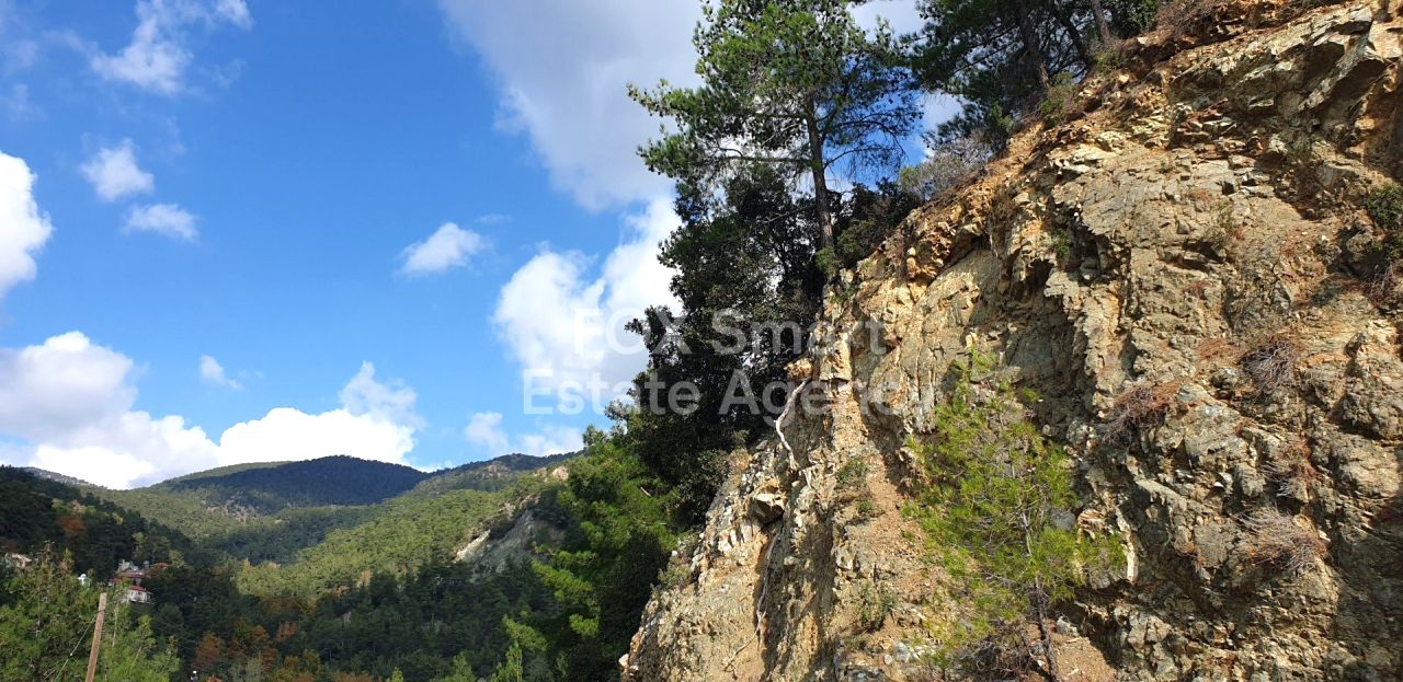 Thumbnail 18 Właściwość 4820 Platres, Limassol / LIM-PAF-32308