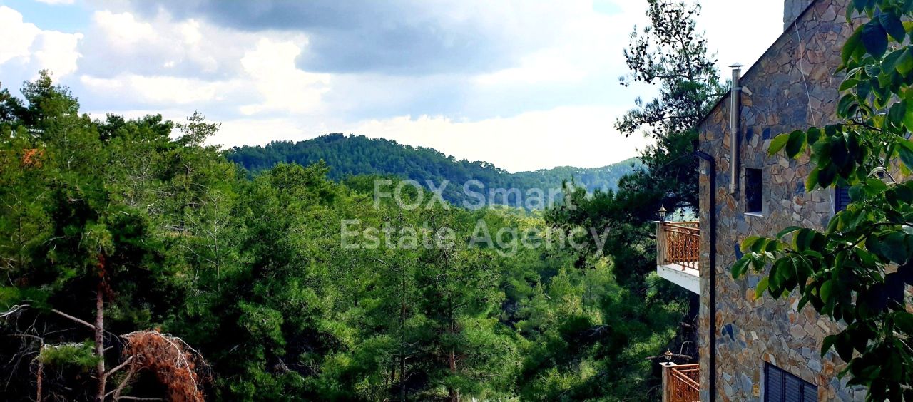 Thumbnail 19 Właściwość 4820 Platres, Limassol / LIM-PAF-32308