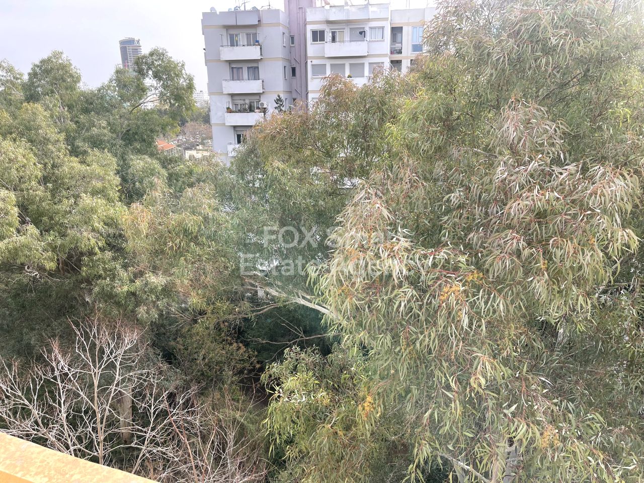 Thumbnail 11 Property 2400 Engomi, Nicosia / 48858