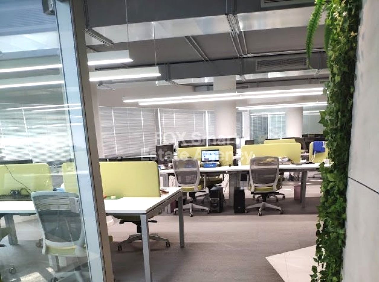 Thumbnail 5 Property 3101 Limassol / LIM-PAF-29125