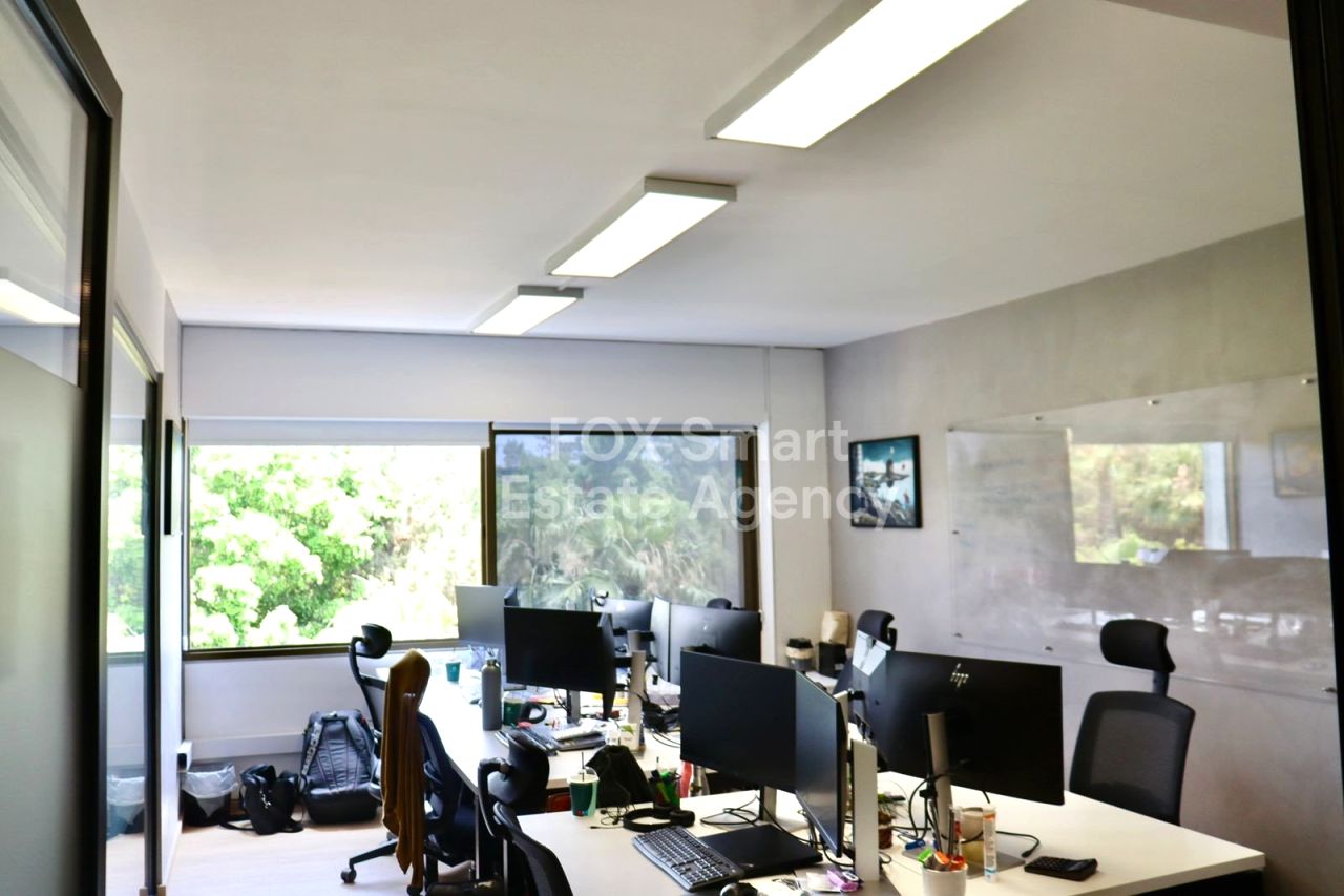 Thumbnail 10 Property 2958 Mansoura, Nicosia / LIM-PAF-31939