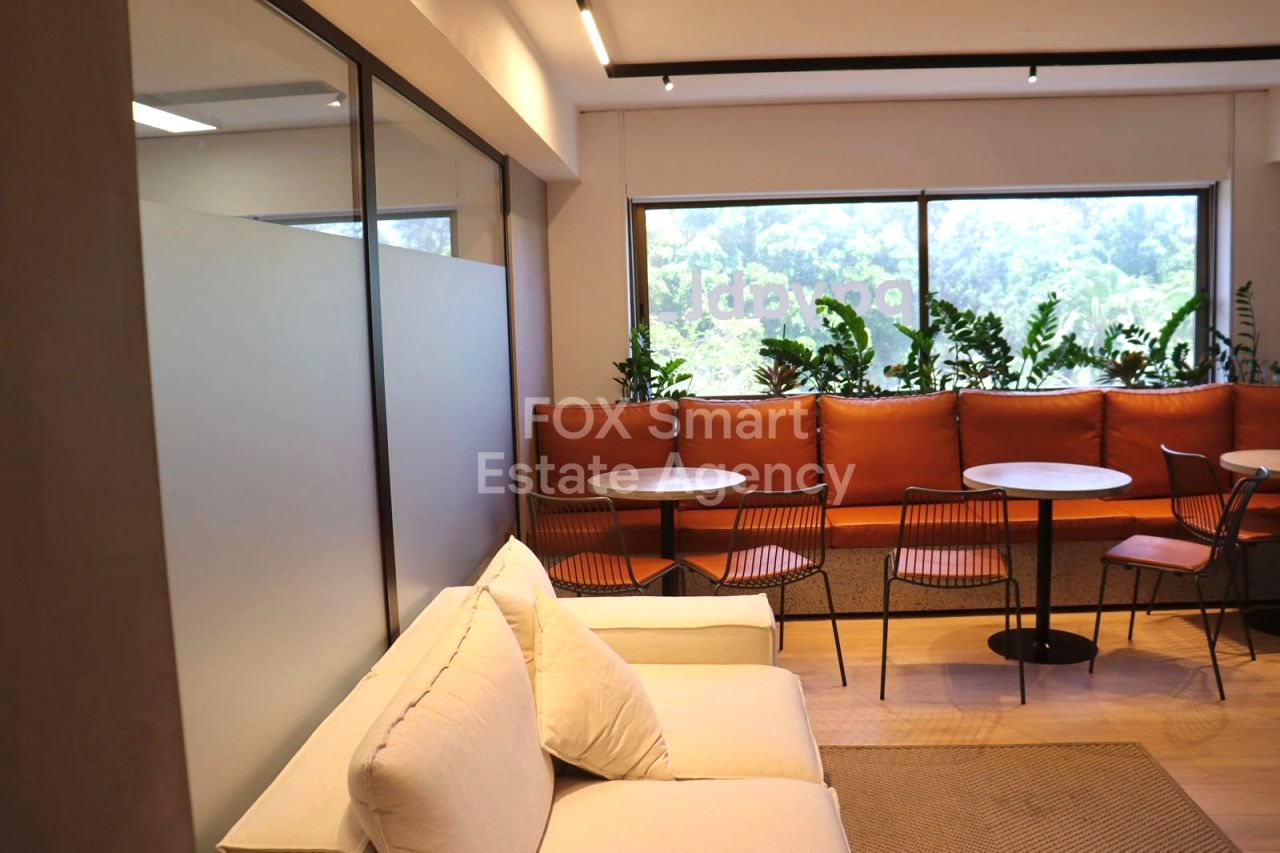 Thumbnail 18 Property 2958 Mansoura, Nicosia / LIM-PAF-31939