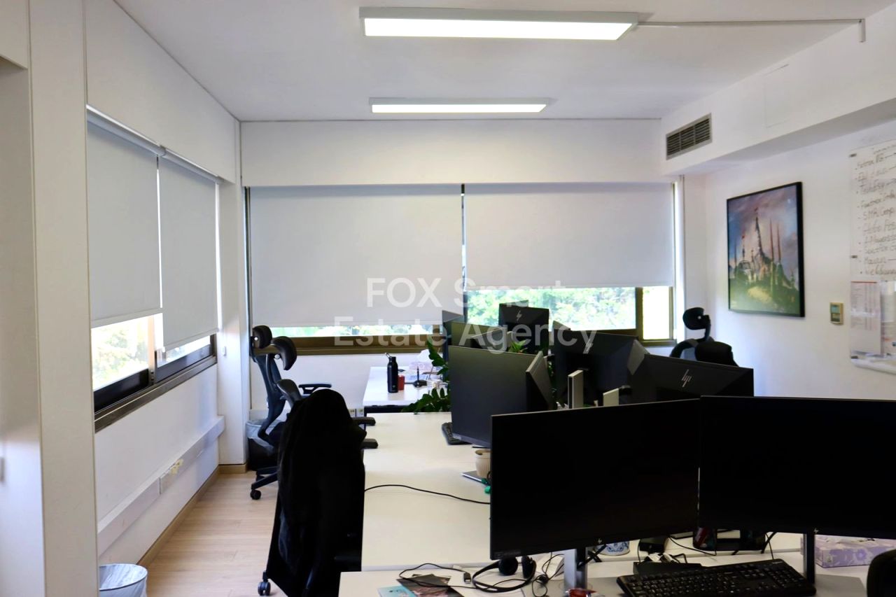 Thumbnail 12 Property 2958 Mansoura, Nicosia / LIM-PAF-31939