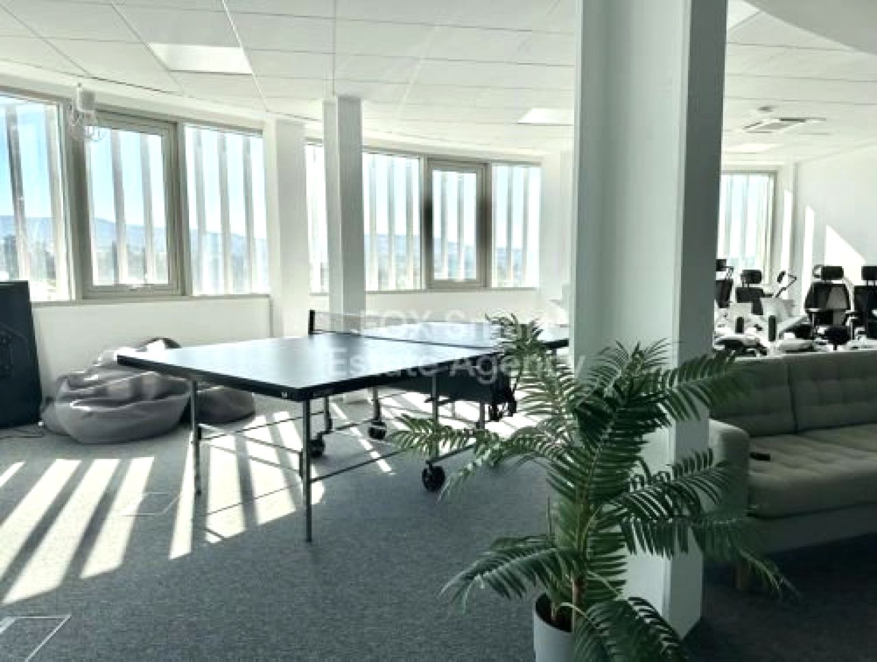 Thumbnail 14 Property 8049 Paphos / LIM-PAF-32791