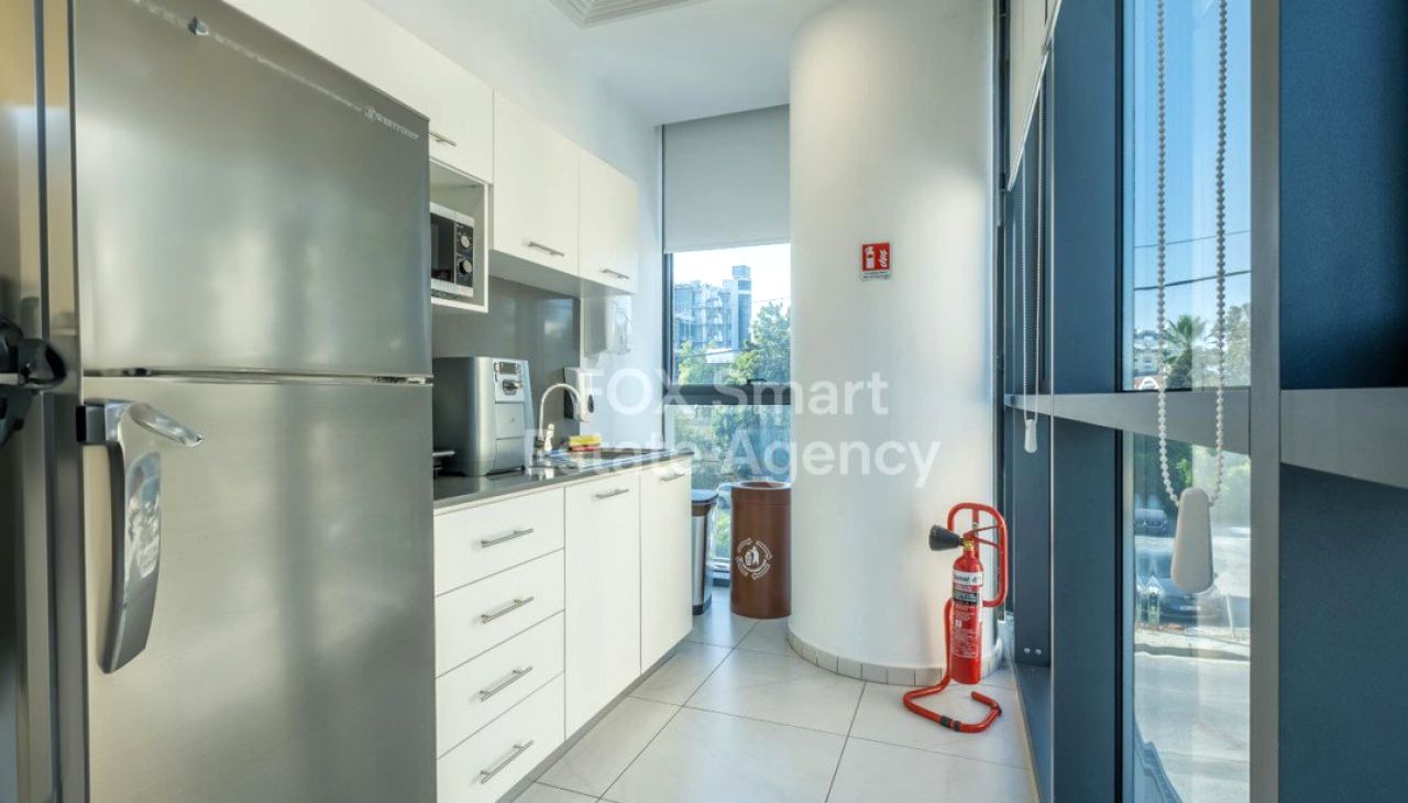 Thumbnail 10 Property 2000 Strovolos, Nicosia / 48422