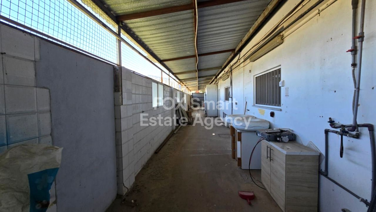 Thumbnail 24 Property 3046 Zakaki, Limassol / LIM-PAF-28800