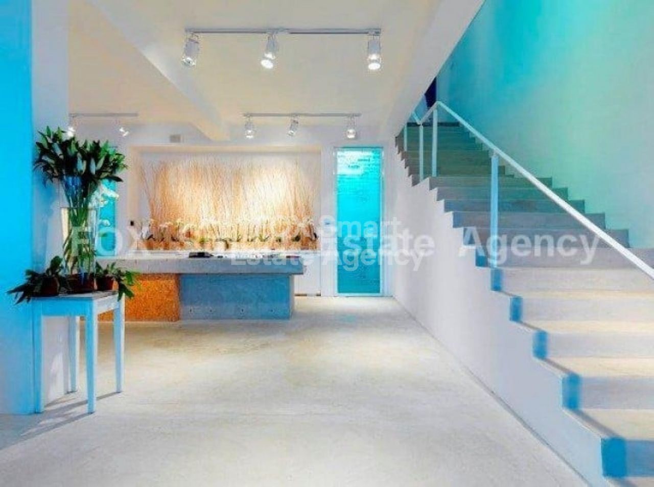 Thumbnail 1 Property 3101 Limassol / LIM-PAF-2147