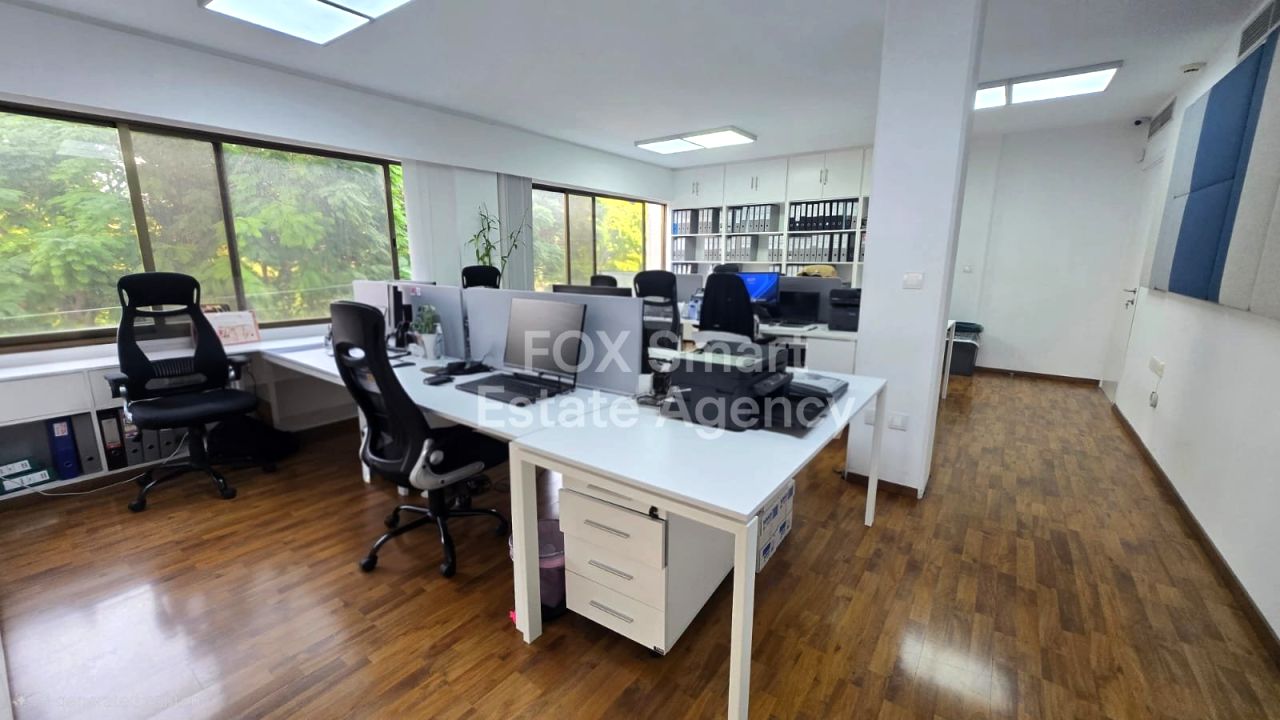 Thumbnail 7 Property 2958 Mansoura, Nicosia / LIM-PAF-31843