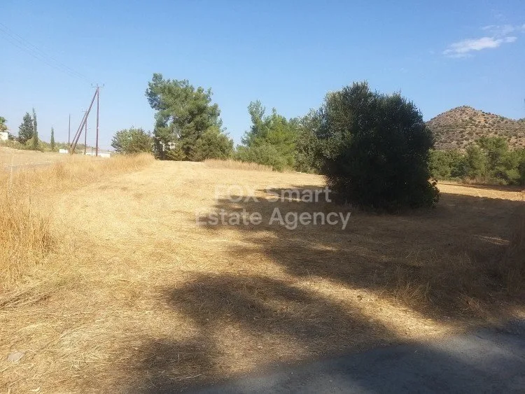 Immobilie 6218 Mosfiloti, Larnaka / P-106718