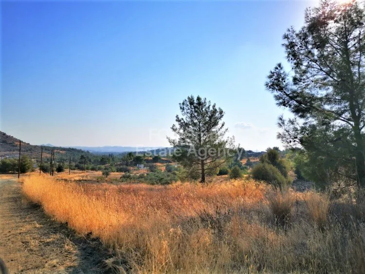 Propiedad 6588 Sía, Nicosia / P-113252