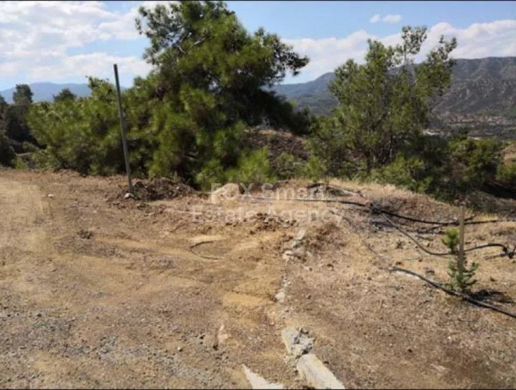 Immobilie 7185 Evrychou, Nikosia / P-117167