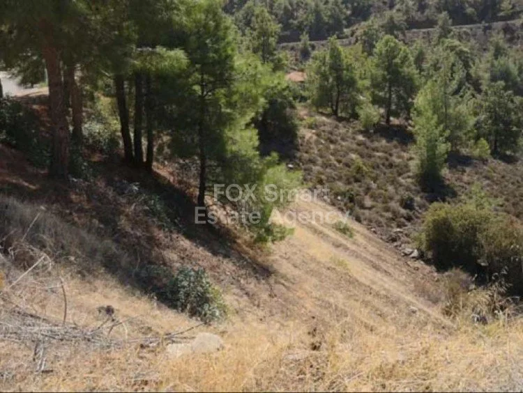 Immobilie 7190 Evrychou, Nikosia / P-117175