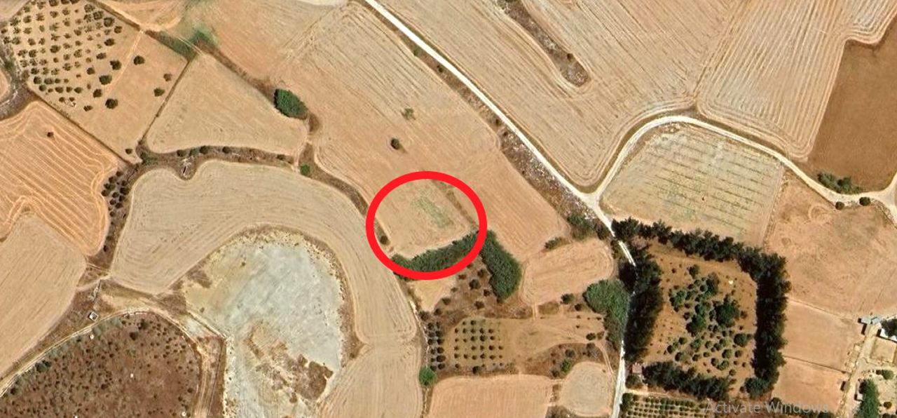 Thumbnail 2 Property 2360 Agios Dometios, Nicosia / 9598