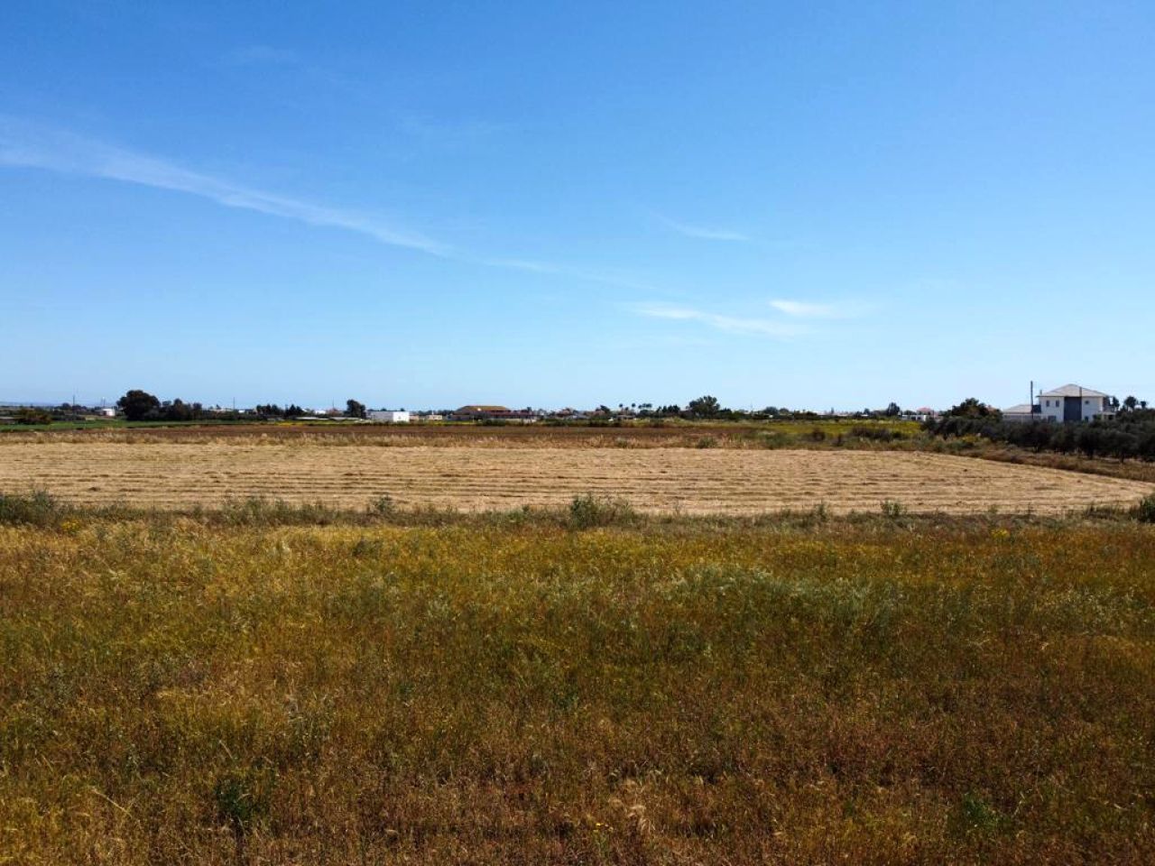 Propiedad 54118 Agios Dometios, Nicosia / 10208
