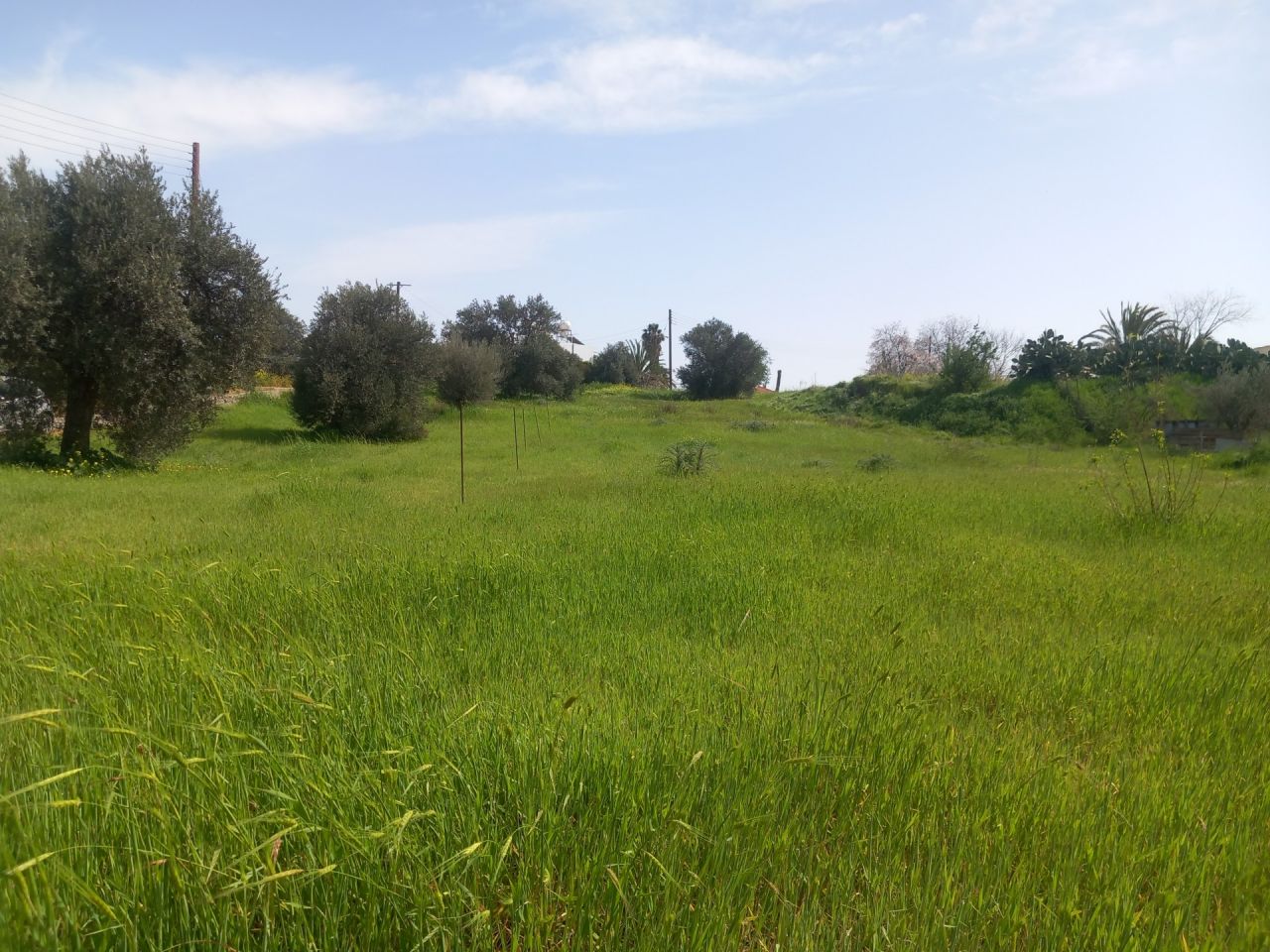Immobilie 13032 Agios Ioannis Malountas, Nikosia / L-123122