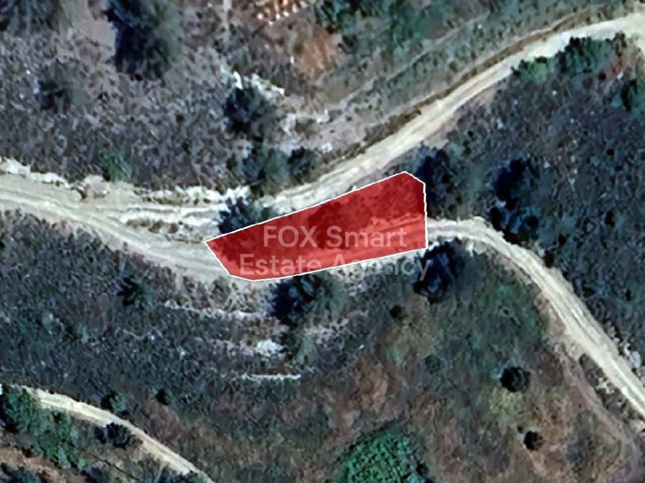 Thumbnail 4 LIM-PAF-32542 / נכס 4860 אגרוס, לימסול