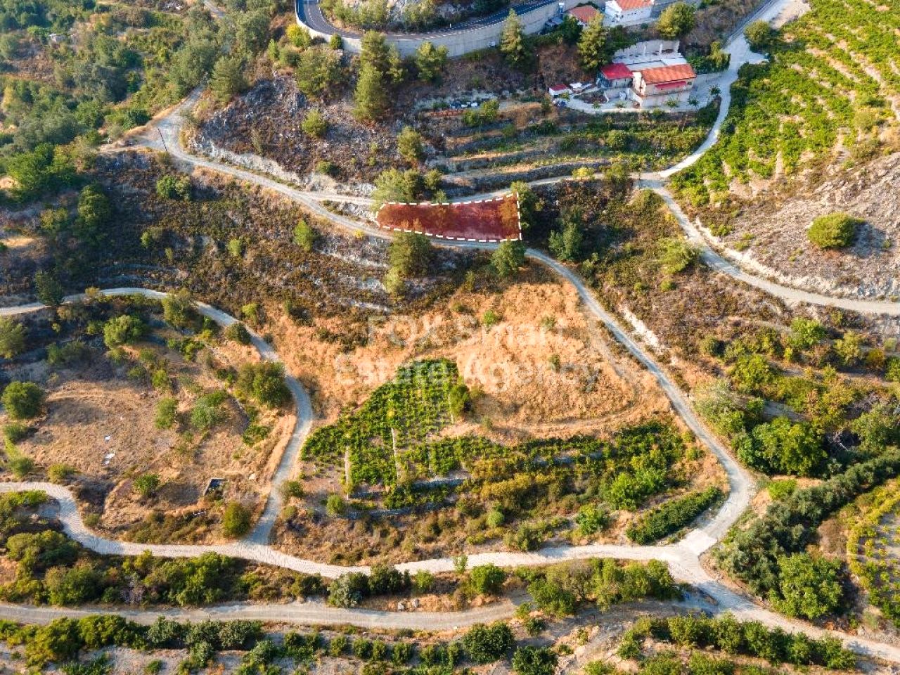 Thumbnail 1 LIM-PAF-32542 / נכס 4860 אגרוס, לימסול