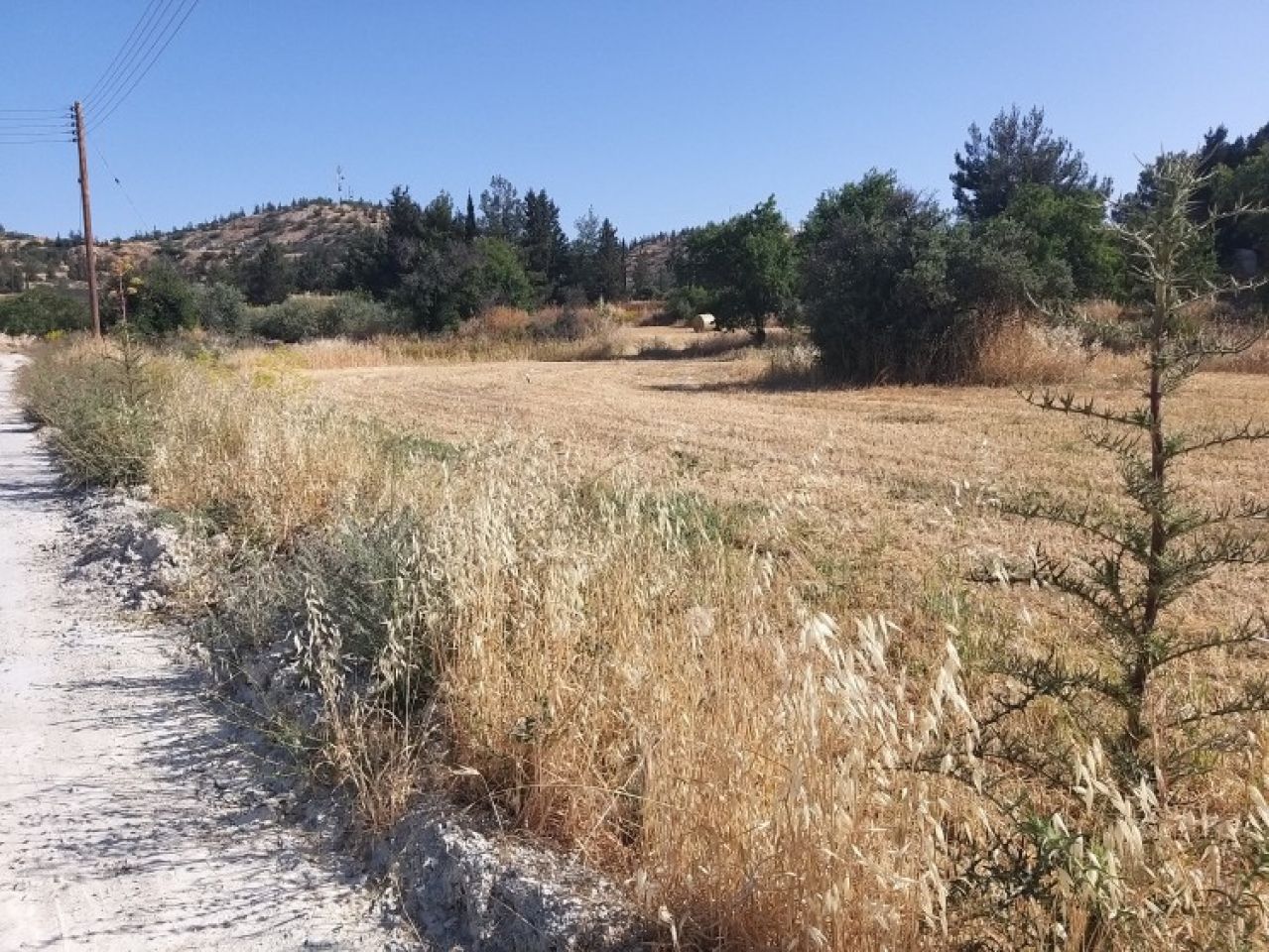 Thumbnail 1 Ακίνητα 2563 Αλάμπρα, Λευκωσία / L-117926