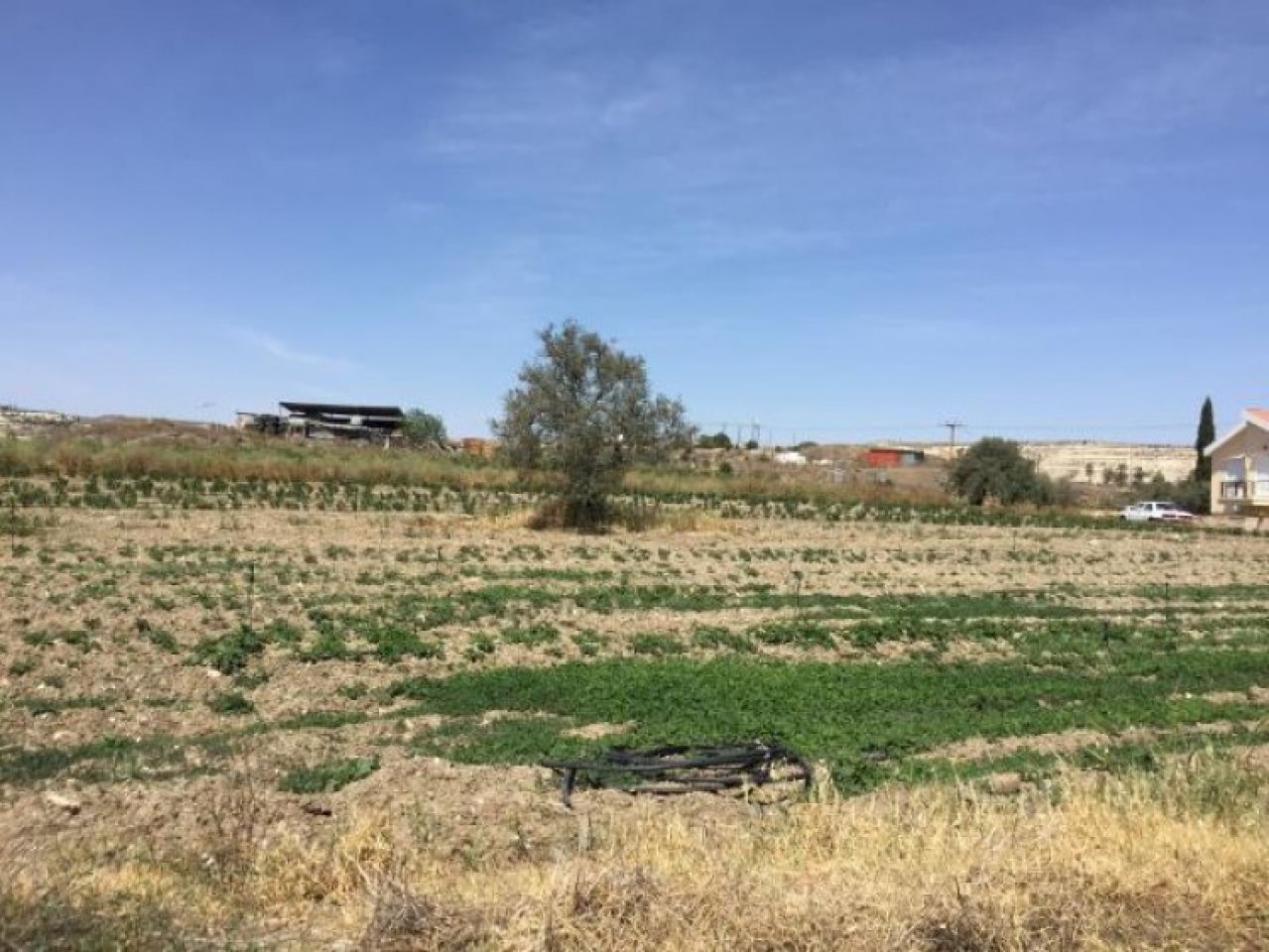 Property 9909 Analiontas, Nicosia / L-65164