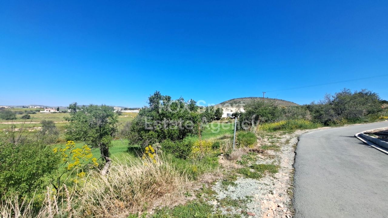 Объект недвижимости 56256 Анарита, Пафос / LIM-PAF-28793