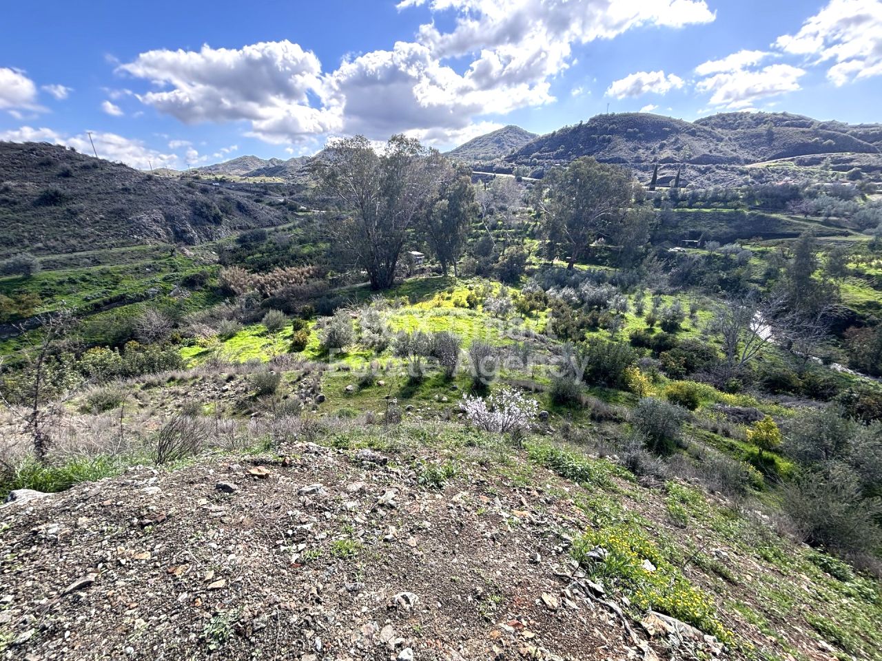 Thumbnail 1 Propiedad 4563 Arakapas, Limasol / LIM-PAF-32956