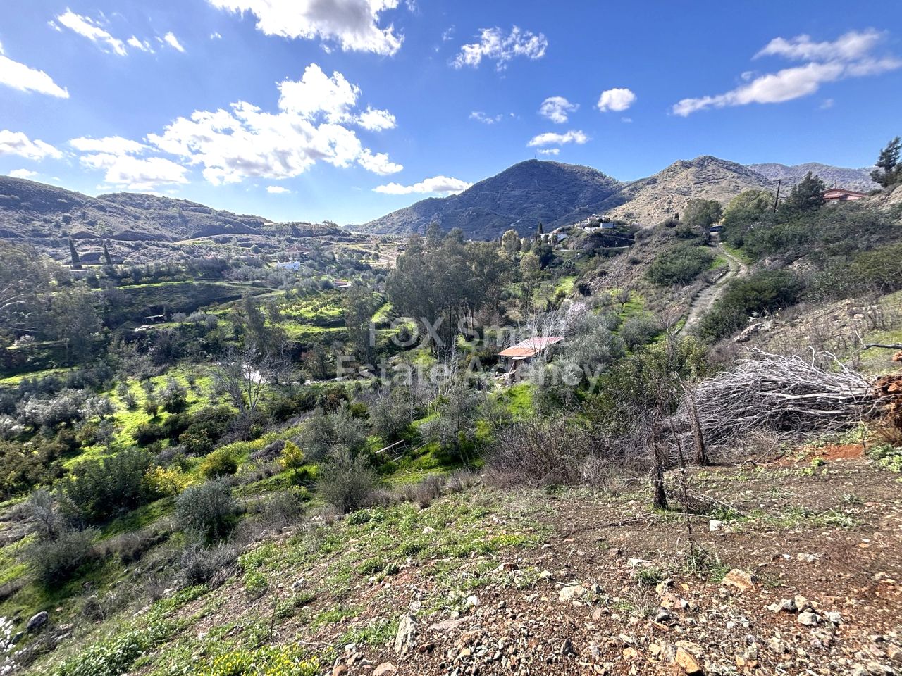 Thumbnail 3 Propiedad 4563 Arakapas, Limasol / LIM-PAF-32956