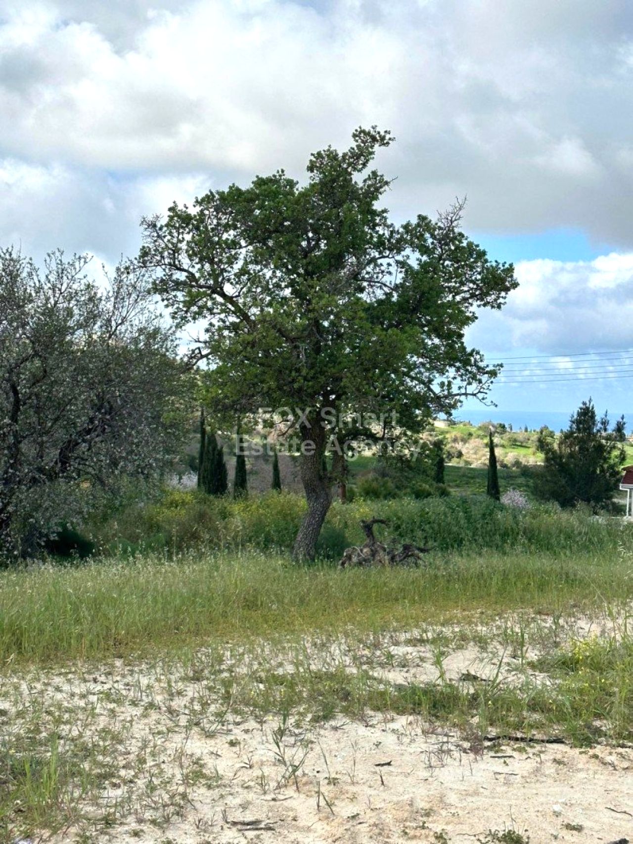 Thumbnail 1 EIGENTUM 8522 Armou, Paphos / LIM-PAF-16199