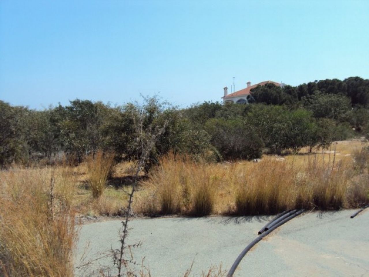 Thumbnail 2 Property 5380 Deryneia, Famagusta / P-95194