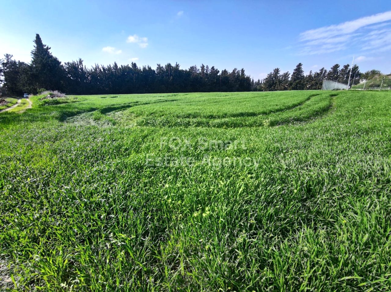 Thumbnail 3 49865 / נכס 7020 דרומוקסיה - מנאו, לרנקה