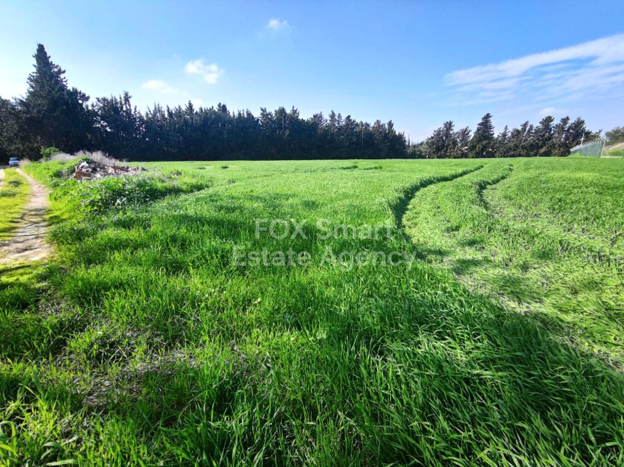 Thumbnail 2 49865 / נכס 7020 דרומוקסיה - מנאו, לרנקה