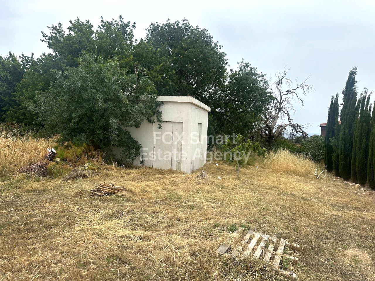 Thumbnail 8 Właściwość 8250 Empa, Pafos / LIM-PAF-29619