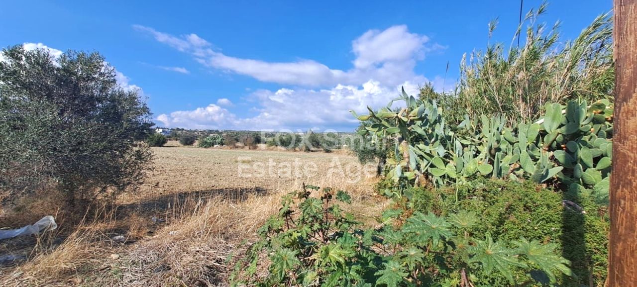 房产 56239 Episkopi, 利马索尔 / LIM-PAF-27636