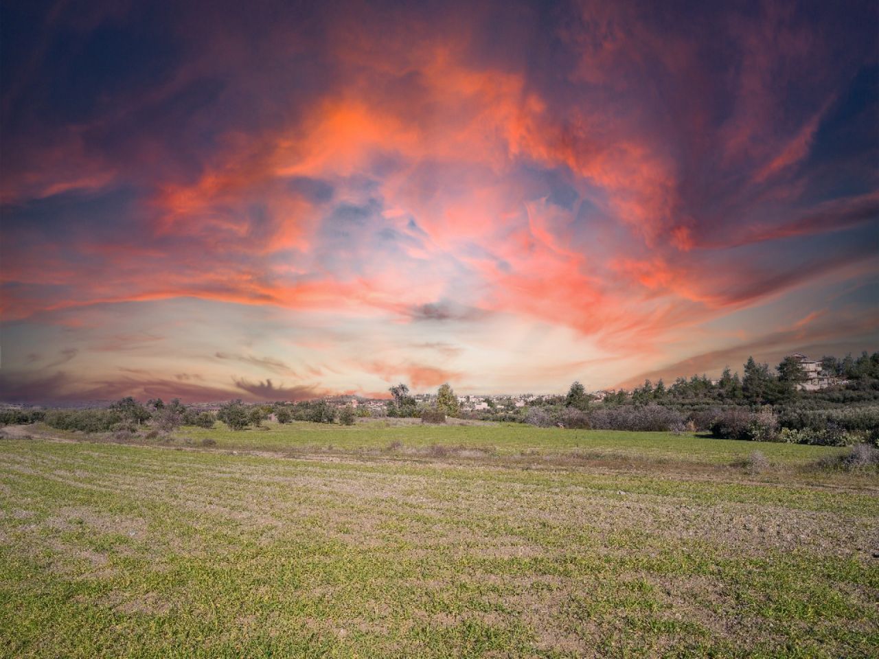נכס 15366 קאלו צ'וריו אורניס, ניקוסיה / L-125985