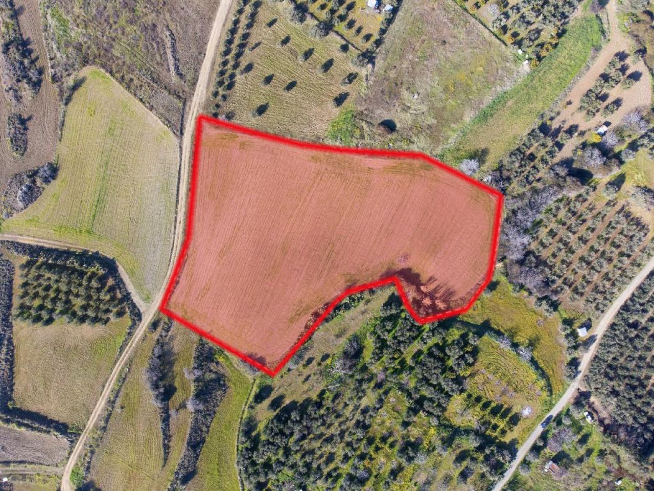 נכס 15366 קאלו צ'וריו אורניס, ניקוסיה / L-125985