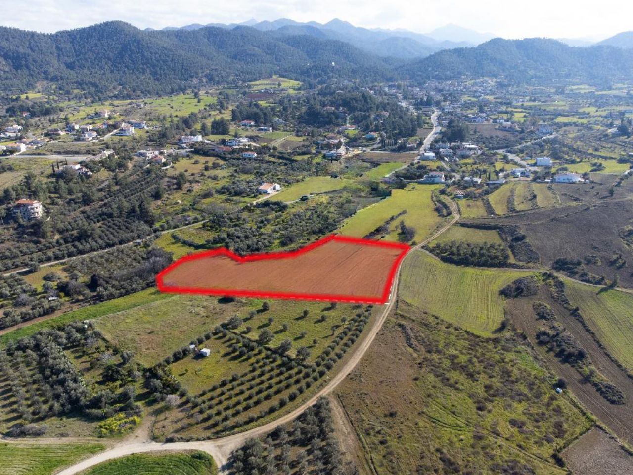 נכס 15366 קאלו צ'וריו אורניס, ניקוסיה / L-125985