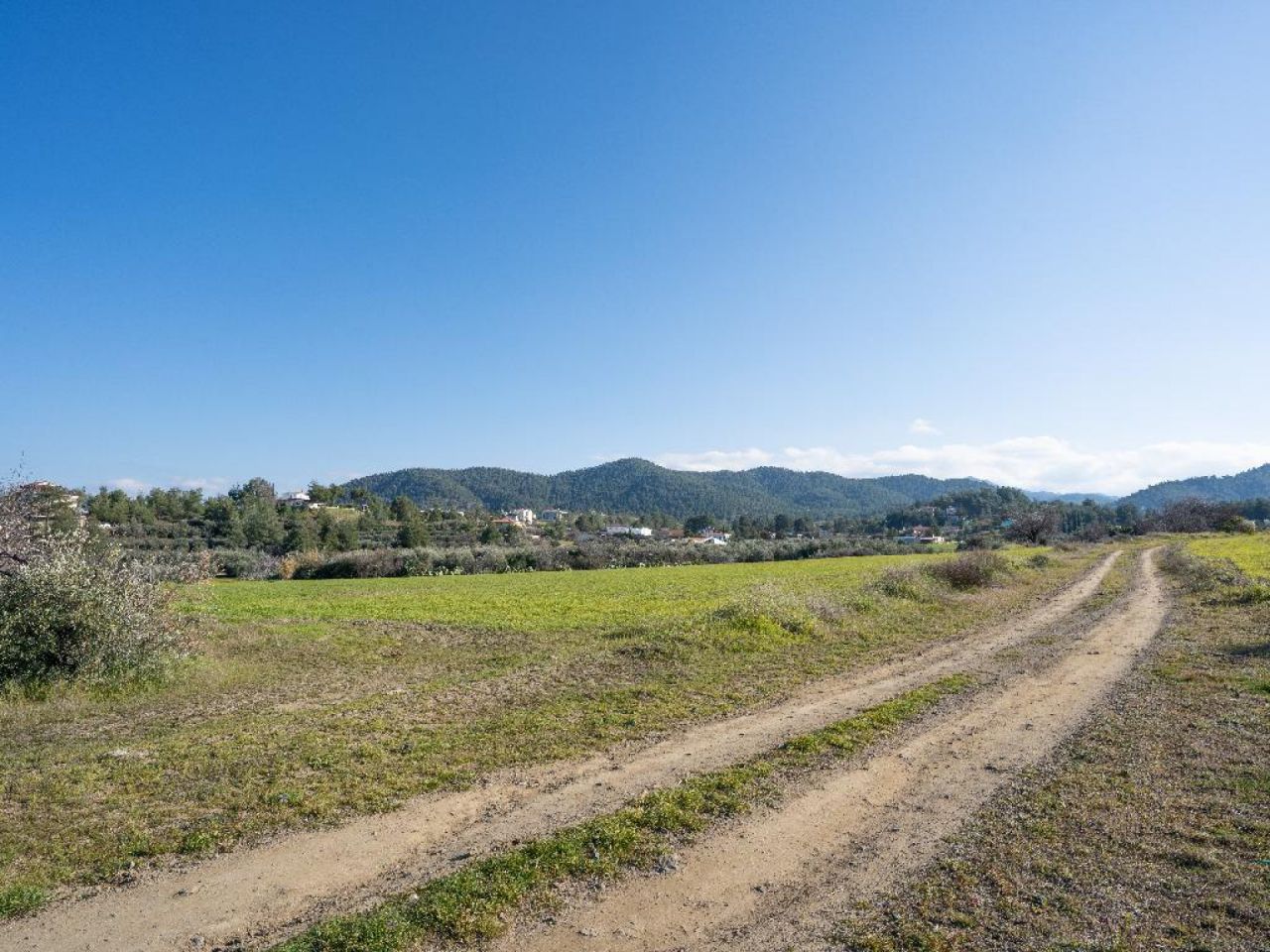 נכס 15366 קאלו צ'וריו אורניס, ניקוסיה / L-125985