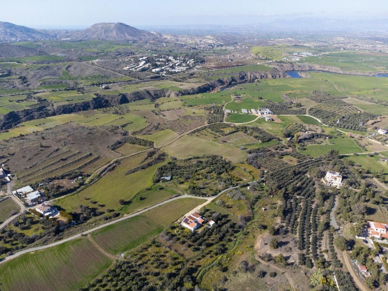 נכס 15366 קאלו צ'וריו אורניס, ניקוסיה / L-125985