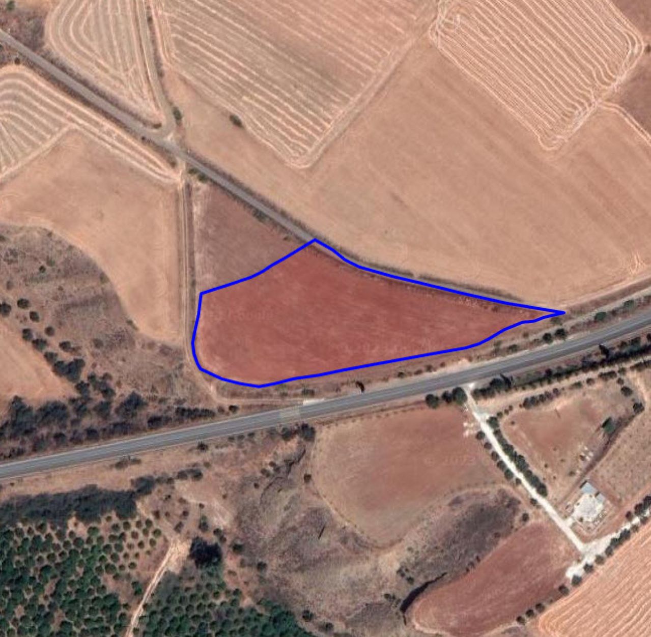 Thumbnail 1 Property 1110 Nicosia / L-95514